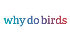 why do birds
