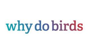 why do birds