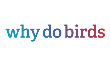 why do birds