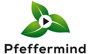 Pfeffermind Consulting GmbH