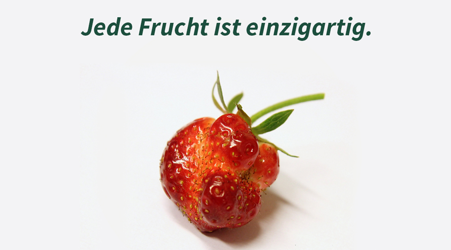 SirPlus Jede Frucht ist einzigartig